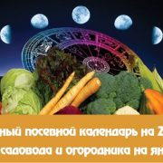 Лунный календарь огородника-садовода на январь 2024 года