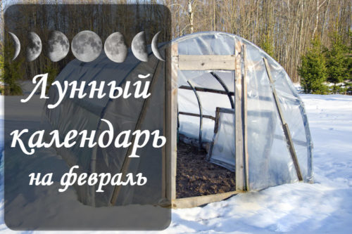 Лунный календарь огородника-садовода на февраль 2024 года