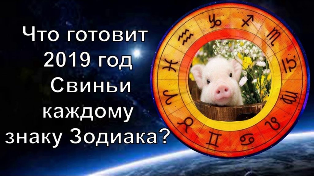 Гороскоп на 2024 — год свиньи: что сулит 2024 год каждому из нас?