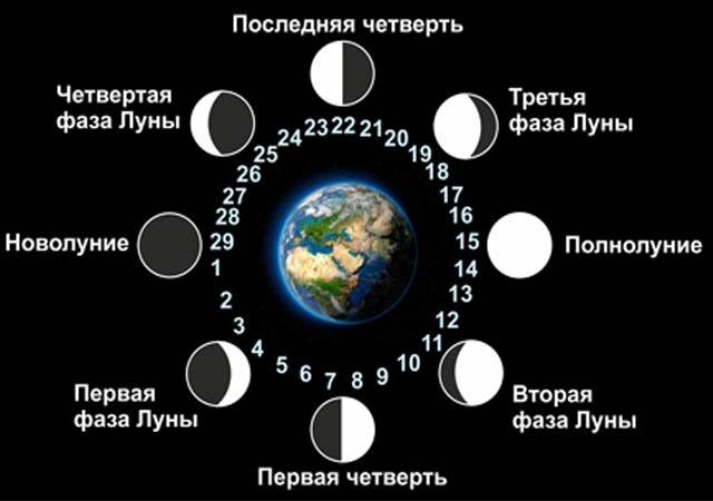 Фазы луны в апреле 2024 года по дням